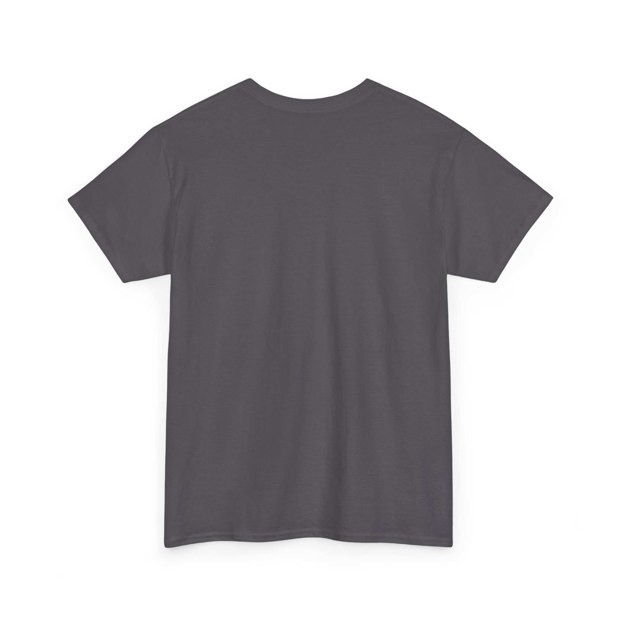 Recall the UCP T‑Shirt — Political Protest Tee