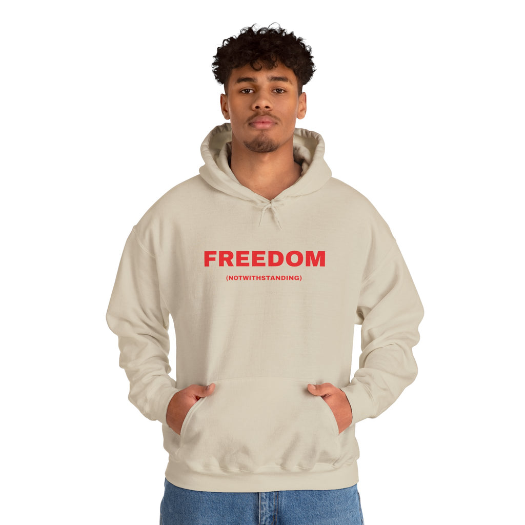 Freedom (Notwithstanding) Hoodie — Minimalist Protest Sweatshirt