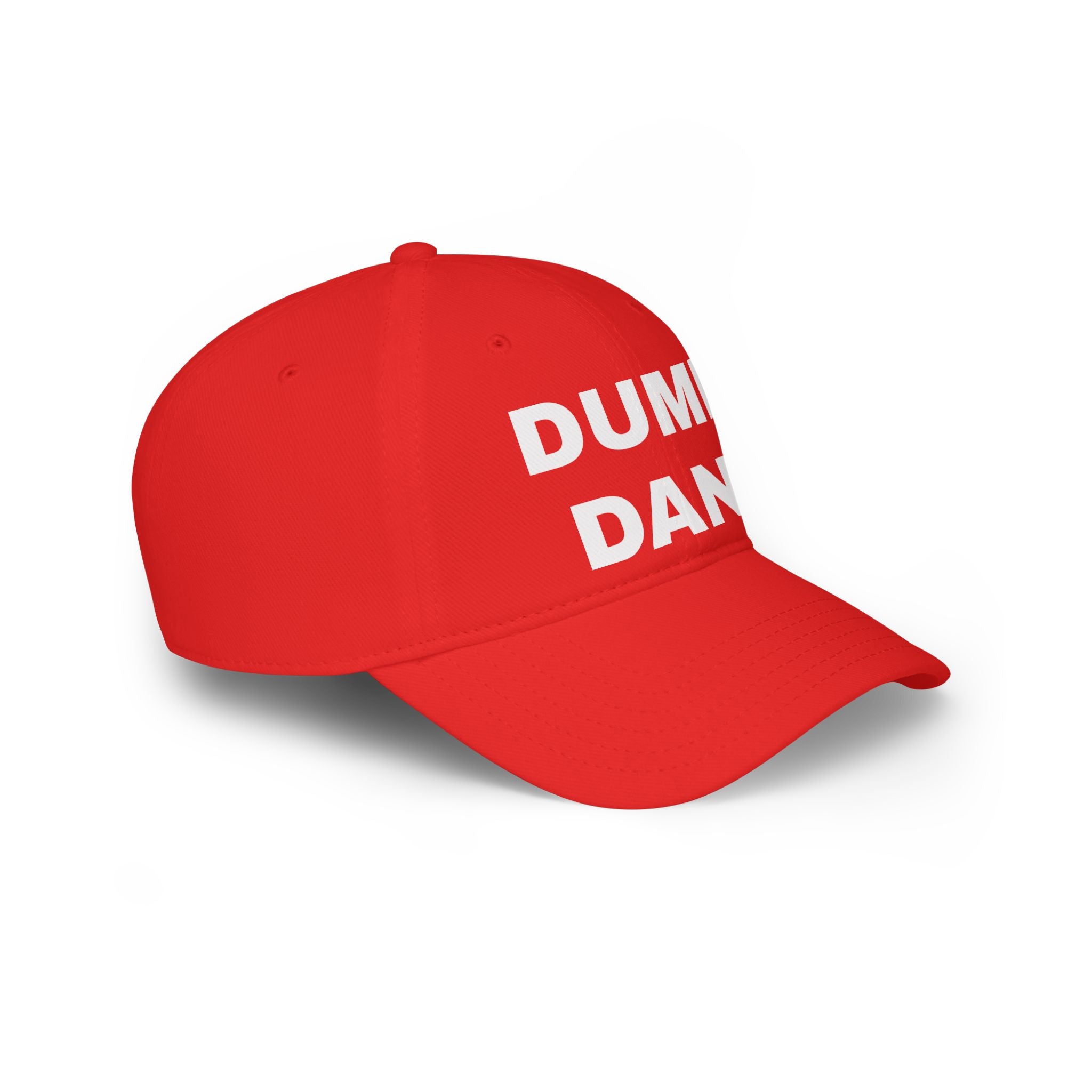 Dump Dani Baseball Cap — Bold Political Statement Hat