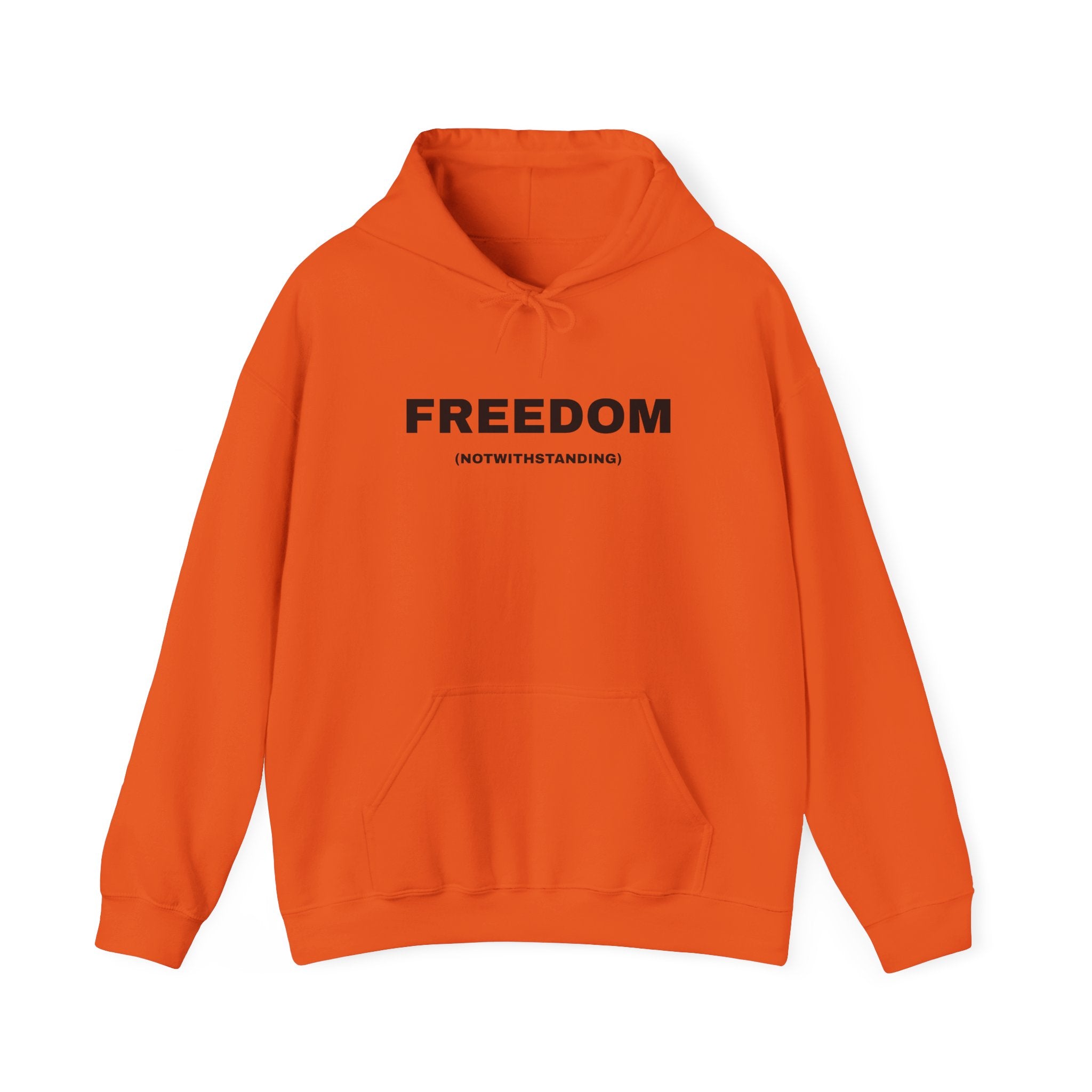 Freedom (Notwithstanding) Hoodie — Minimalist Protest Sweatshirt